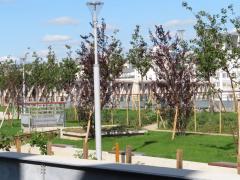 e balcon vert Septembre 2019 img_0105.jpg